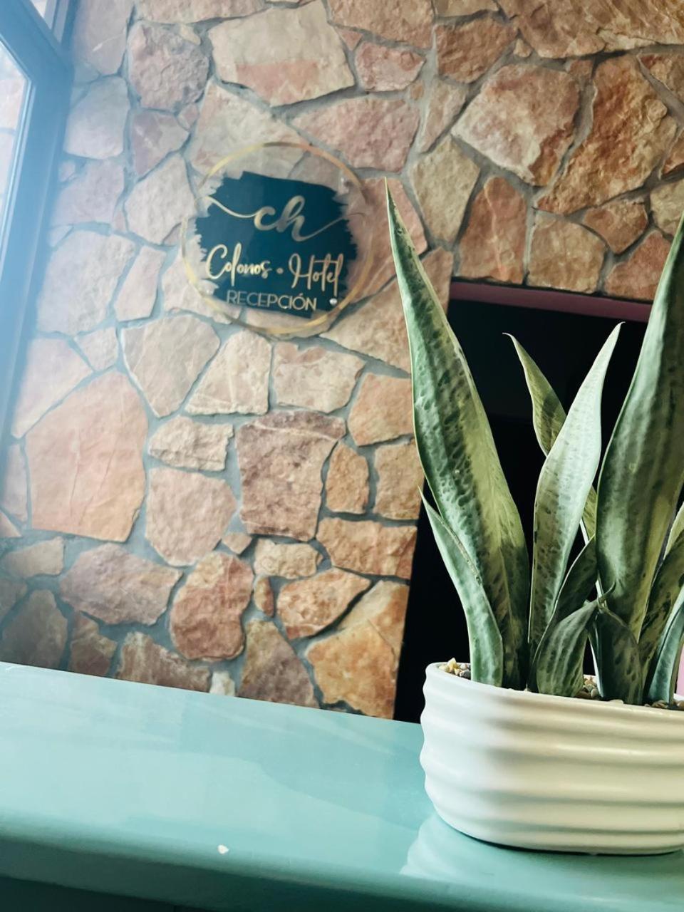 Hotel Colonos Los Cabos Cabo San Lucas Eksteriør billede